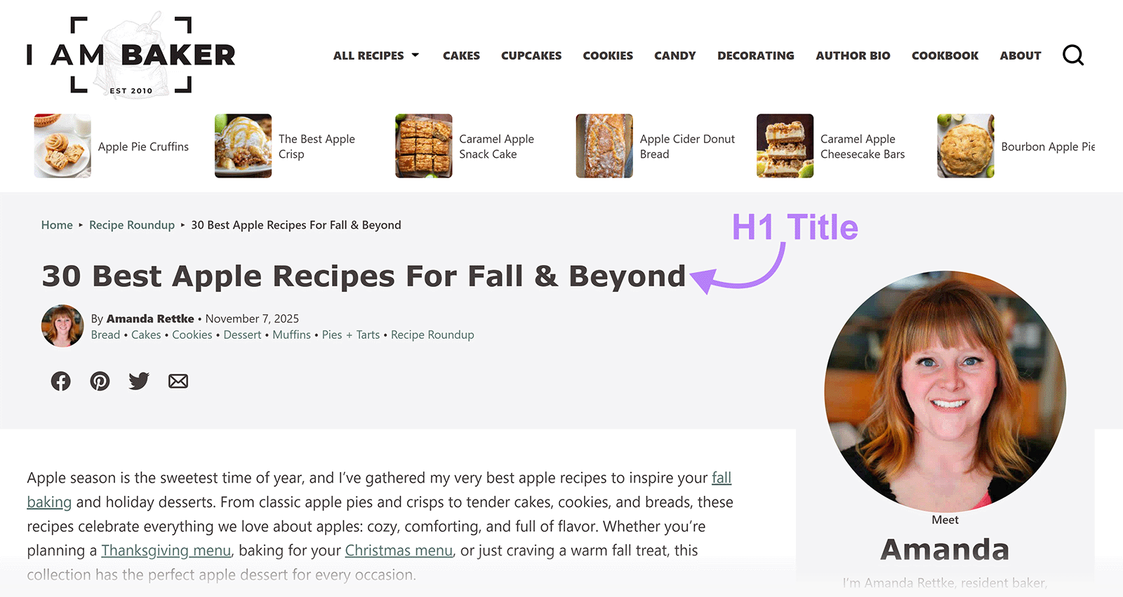Blog post page with arrow pointing to the H1 title.