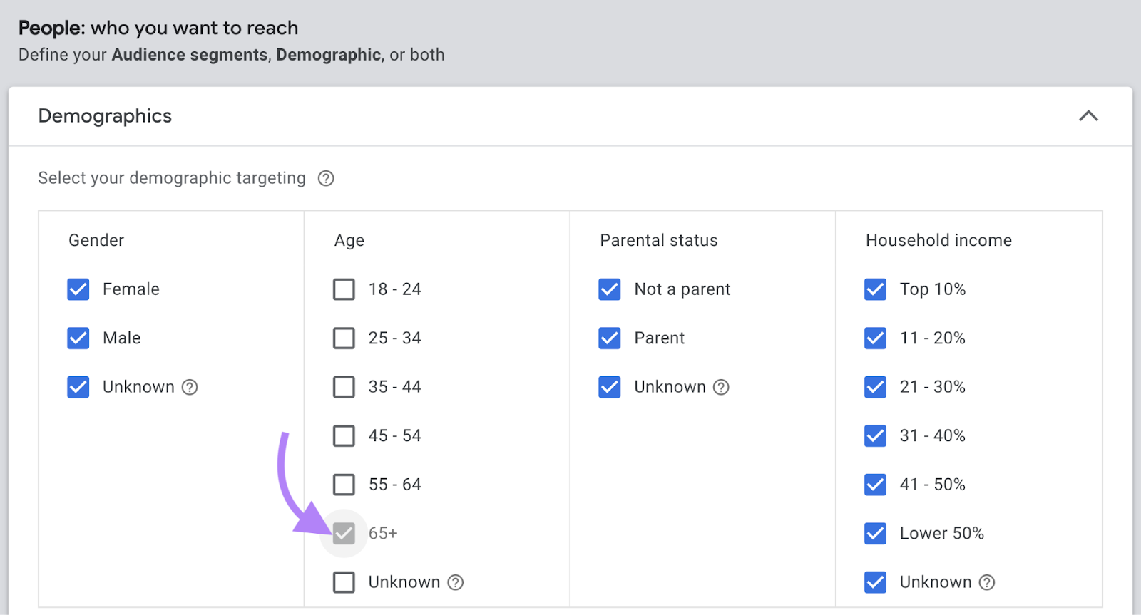 Demographics window in YouTube ads