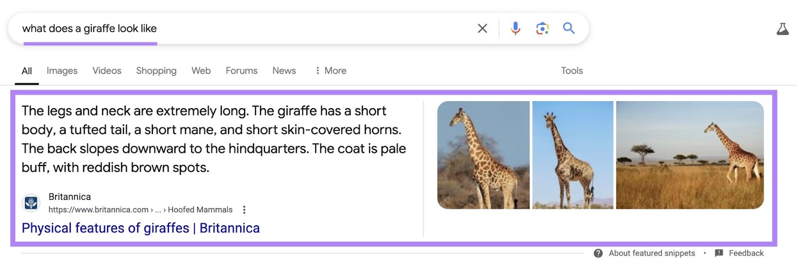 Google SERP for the term "what does a giraffe look like" with the featured snippet highlighted.