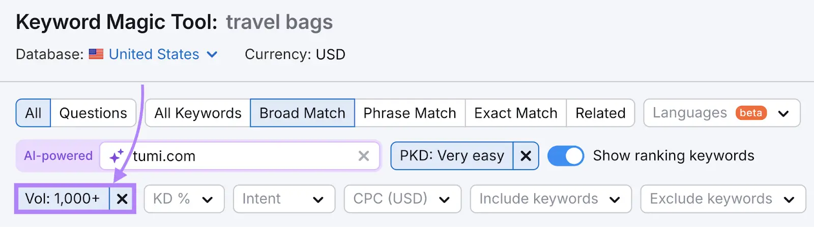 Keyword Magic Tool with the "Volume" set as "1,000+".