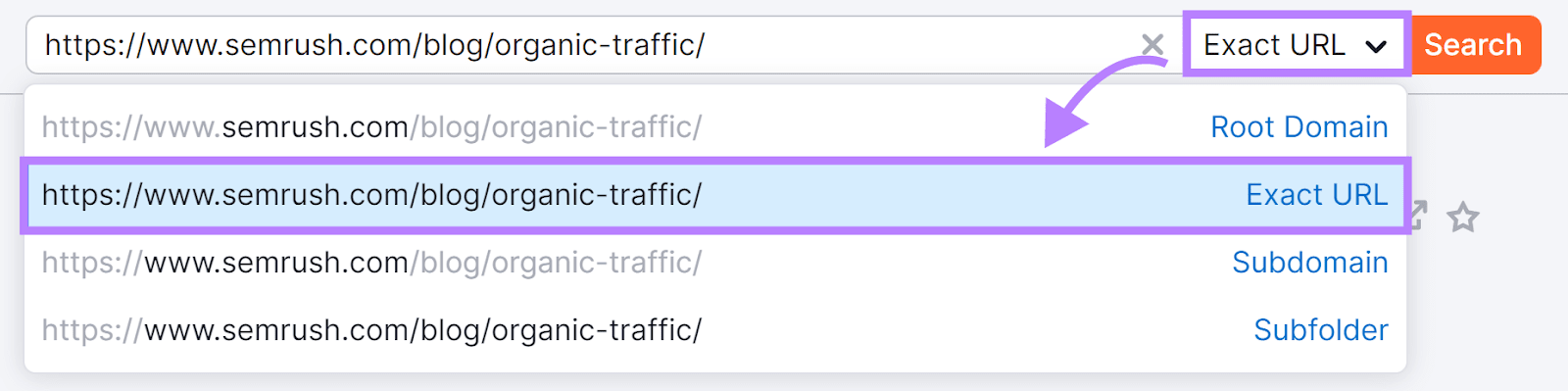 "Exact URL"option selected in the Domain Overview tool search