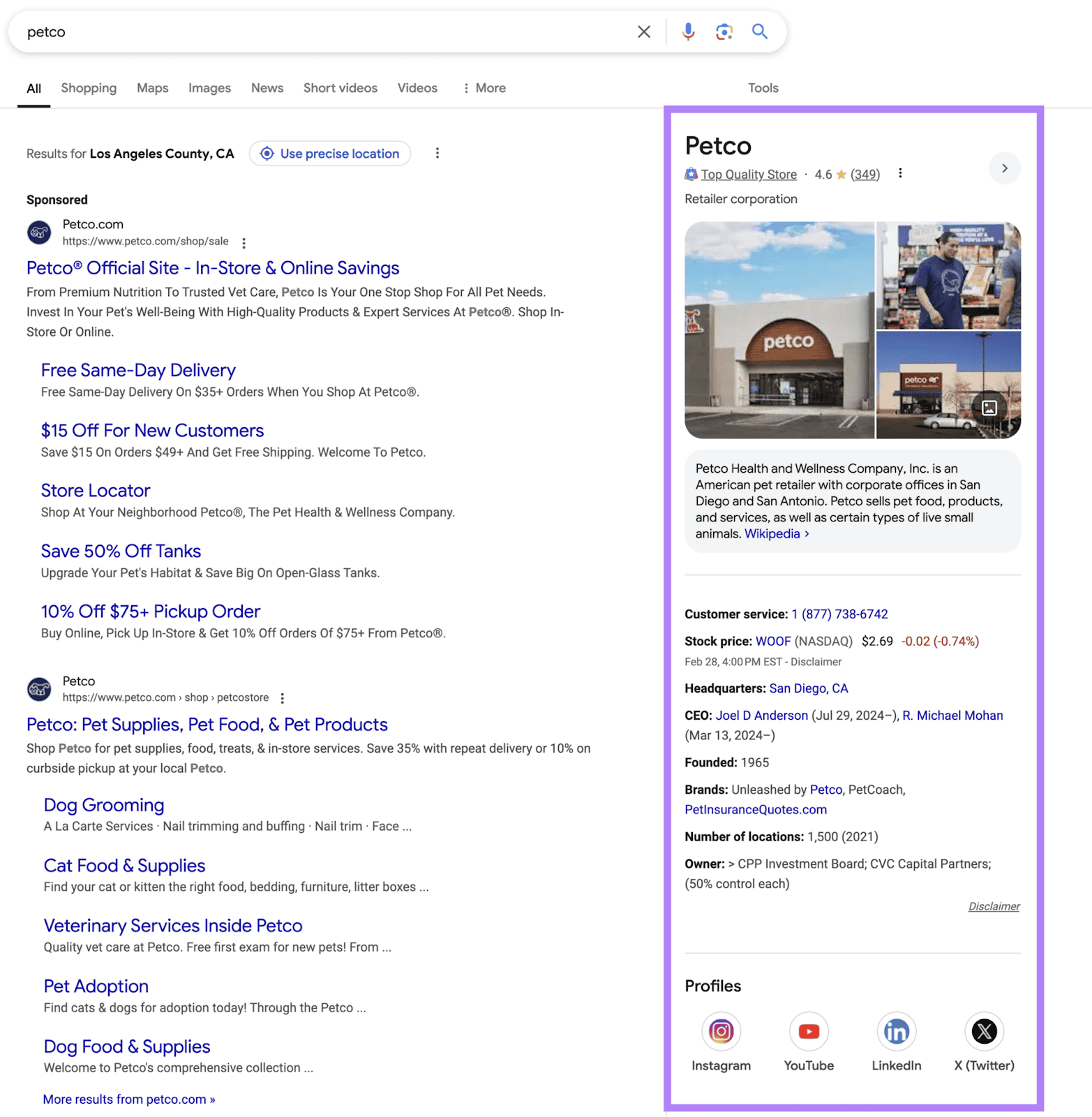 Knowledge Panel appears when searching for a company name.