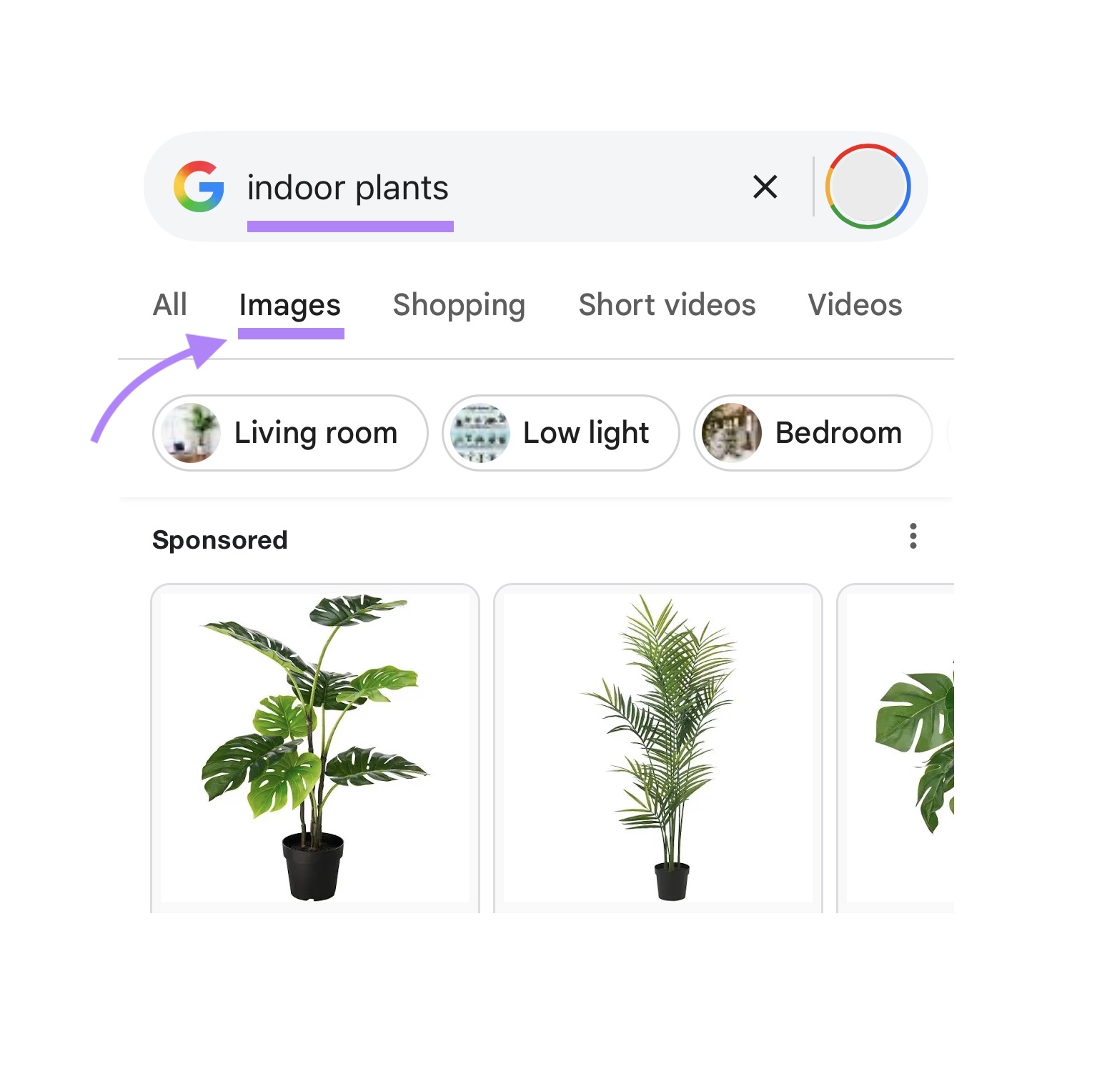 "Indoor plants" entered in the search bar and the "Images" tab highlighted on Google.
