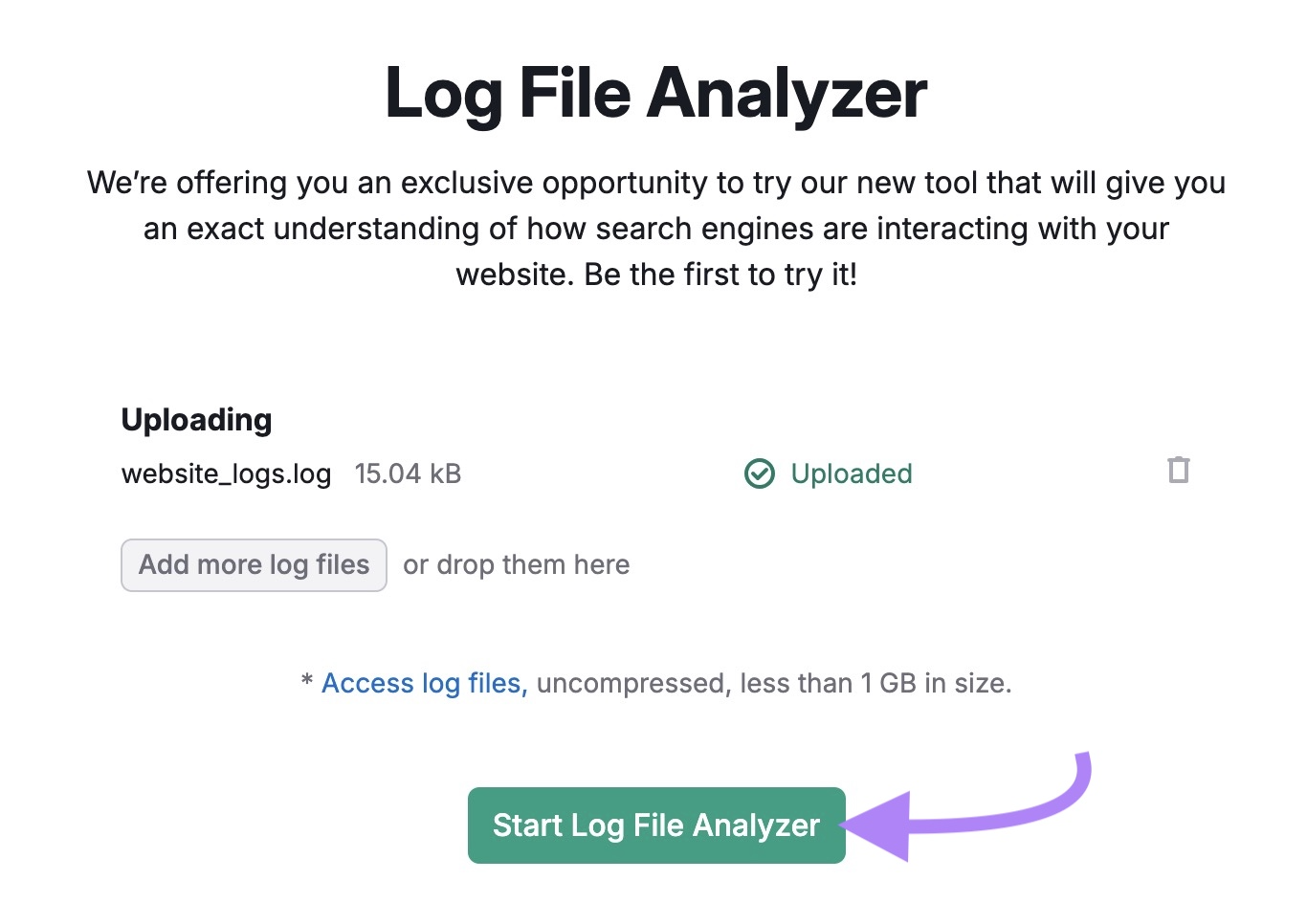 Log File Analyzer with a file uploaded and “Start Log File Analyzer” clicked.