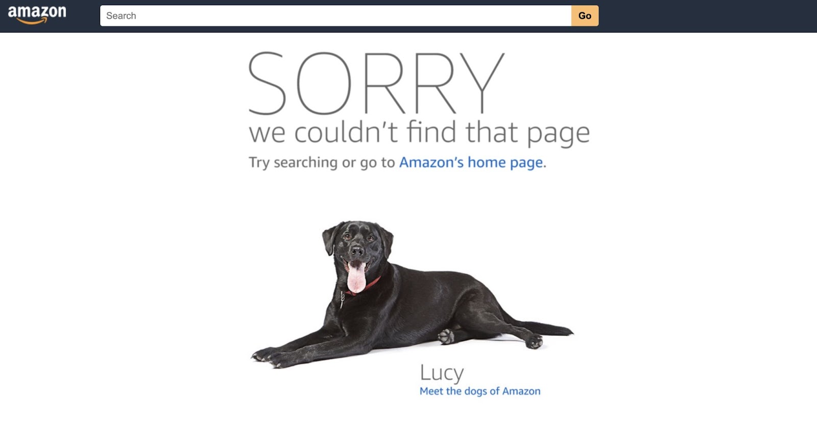Amazon 404 page.