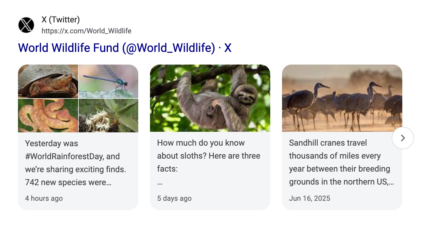 X Carousel on a desktop SERP.