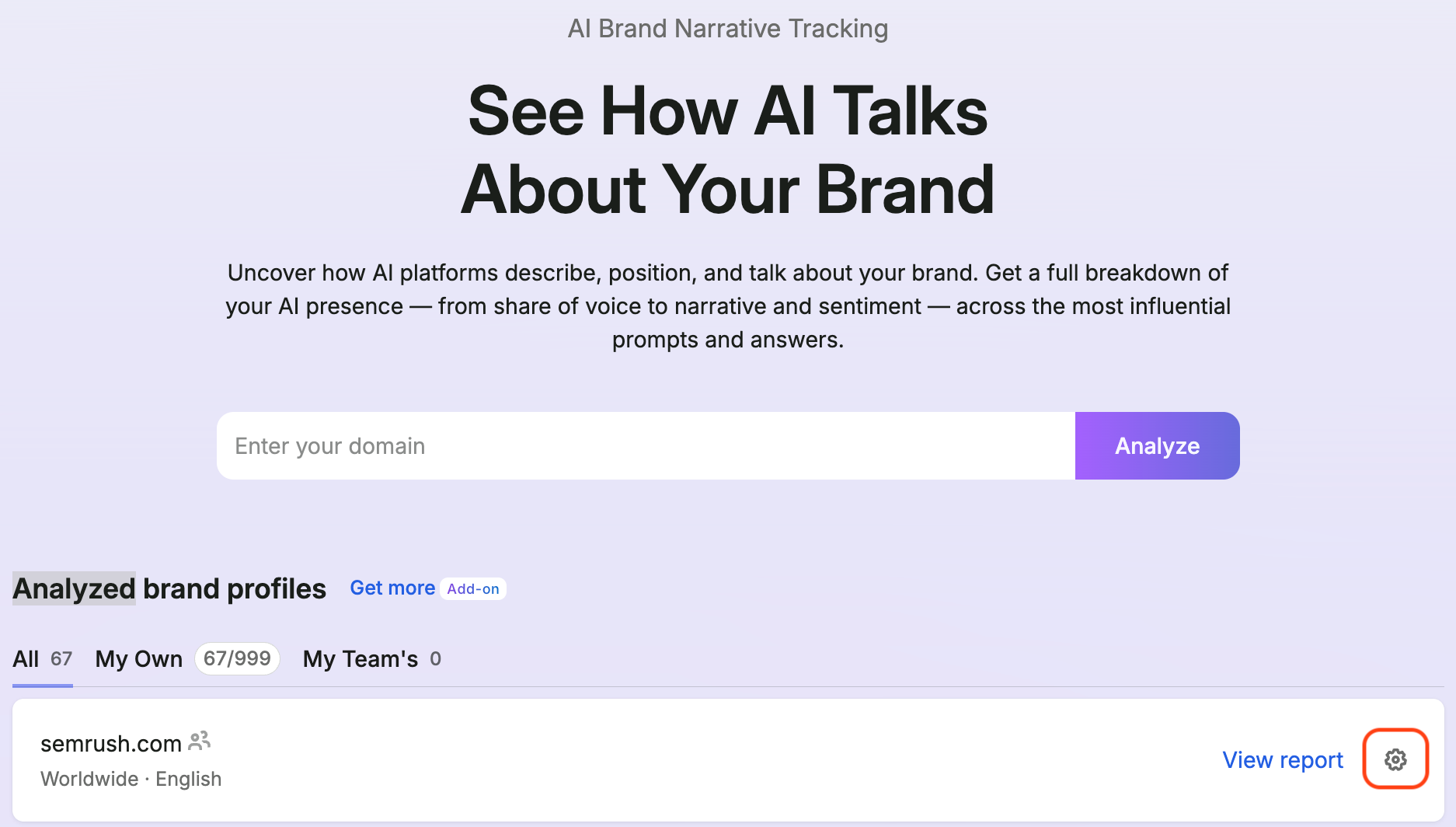 Brand Performance Reports image 2